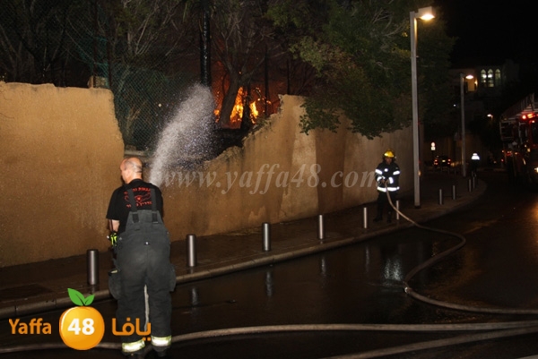 fire minas2 sterer (20).JPG